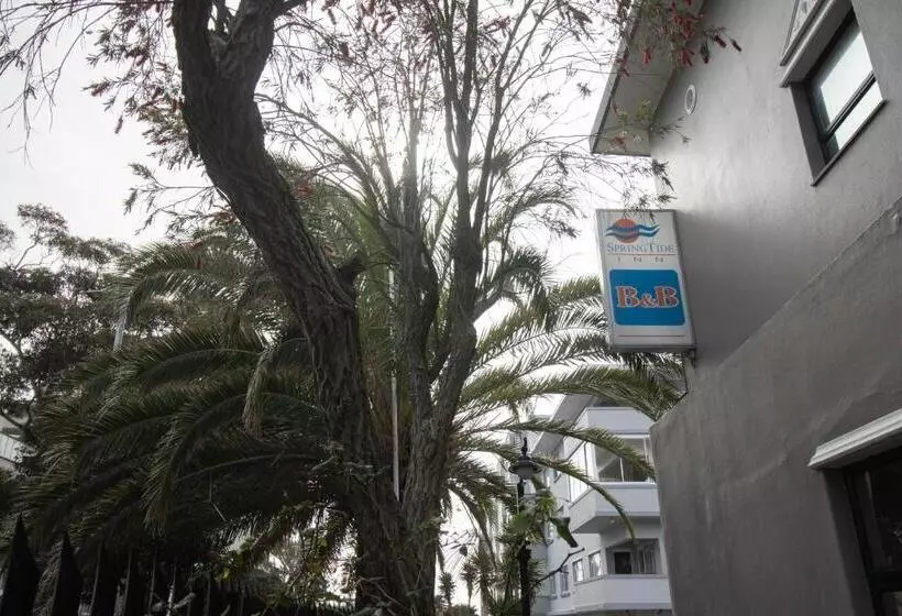 Fotos del hotel Spring Tide Inn:  4