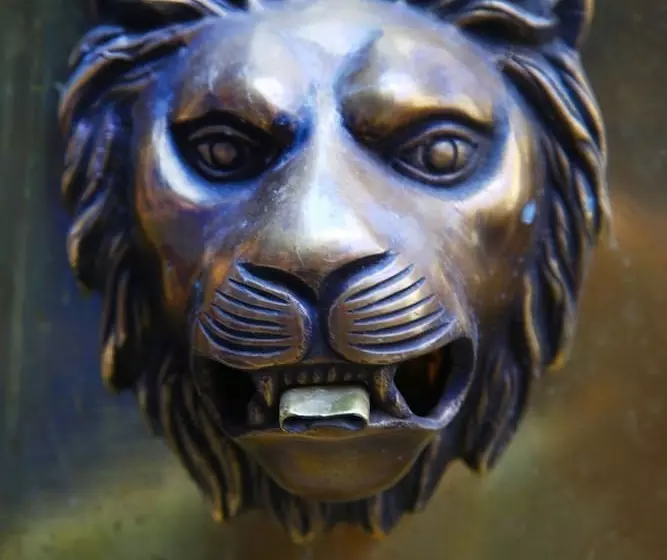 Fotos del hotel The Grey:  8