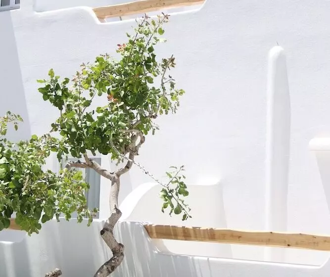 Fotos del hotel Cavo Bianco Boutique Hotel & Spa:  12