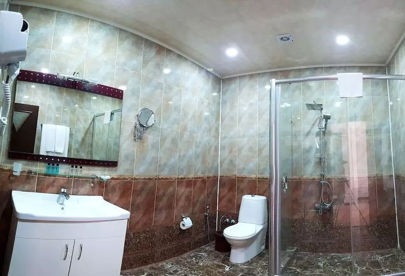 Fotos del hotel Ambassador:  6