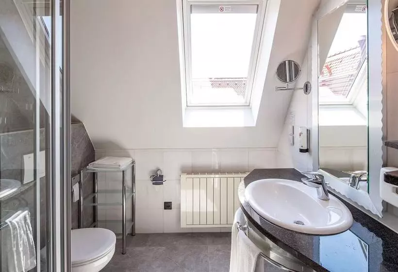 Fotos del hotel Boutiquehotel Dom - Rooms & Suites:  25