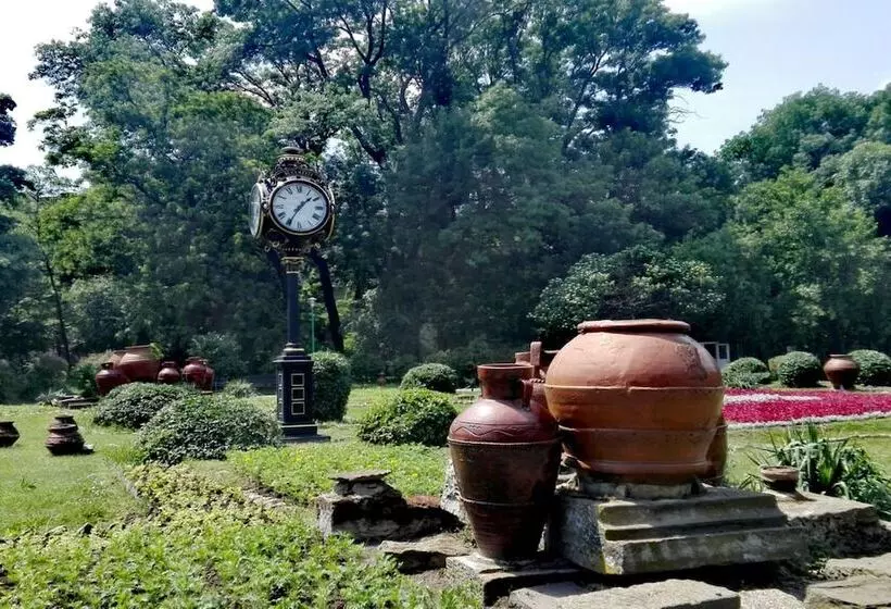 Fotos del hotel Caro:  21