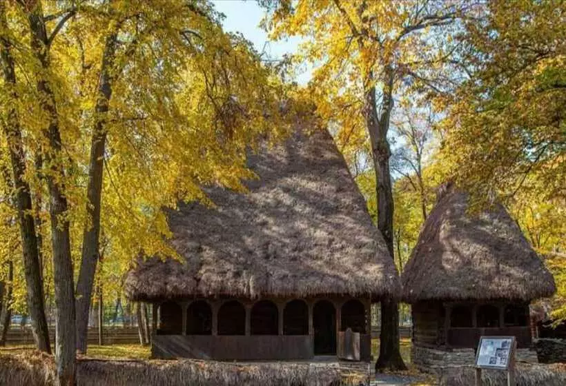 Fotos del hotel Caro:  10