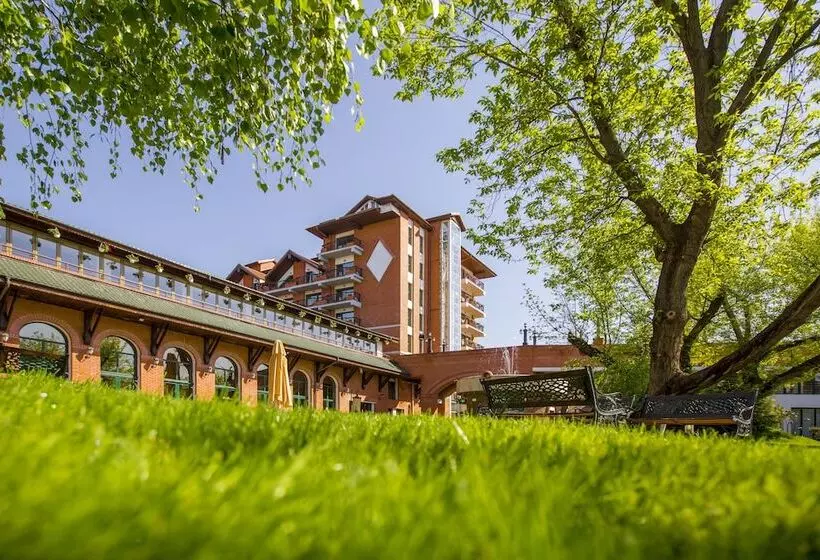 Fotos del hotel Caro:  7