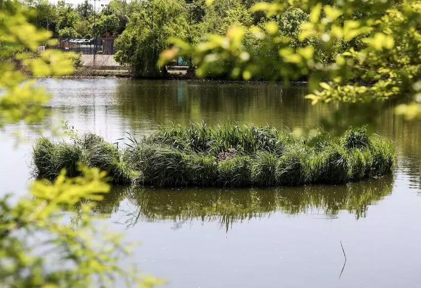 Fotos del hotel Caro:  13