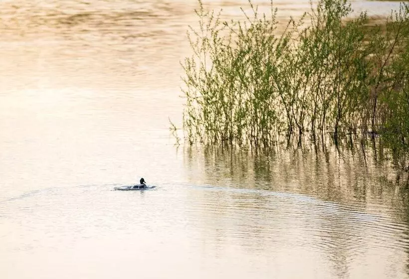 Fotos del hotel Caro:  5