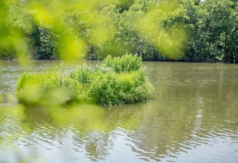 Fotos del hotel Caro:  14