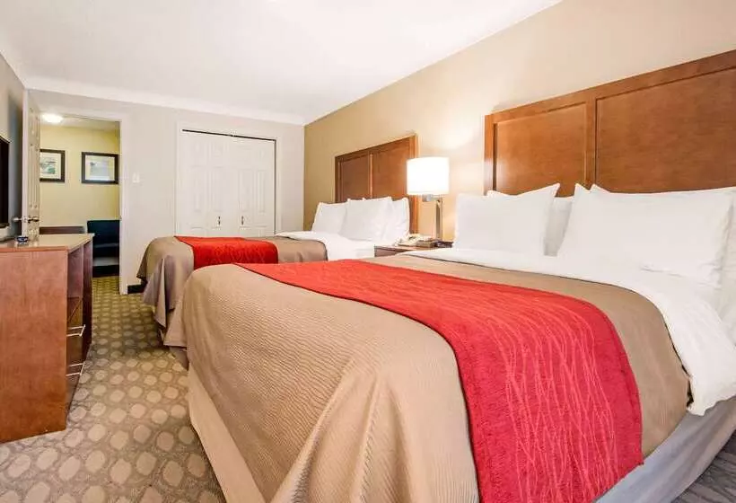 Fotos del hotel Comfort Inn Fallsview:  11