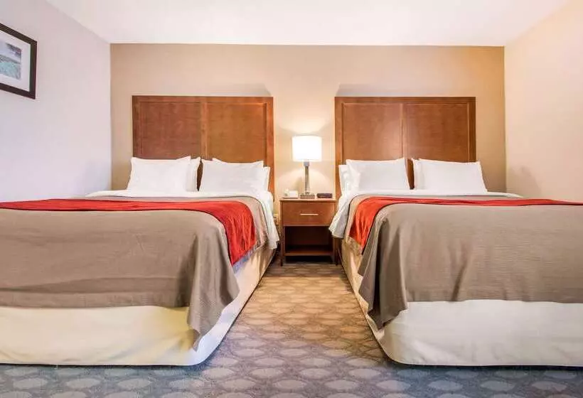 Fotos del hotel Comfort Inn Fallsview:  3