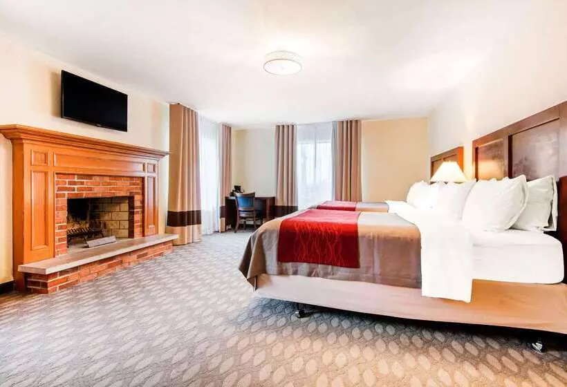 Fotos del hotel Comfort Inn Fallsview:  5