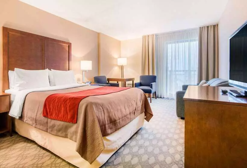 Fotos del hotel Comfort Inn Fallsview:  8