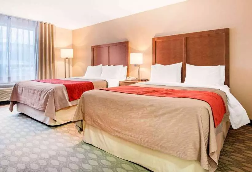 Fotos del hotel Comfort Inn Fallsview:  7