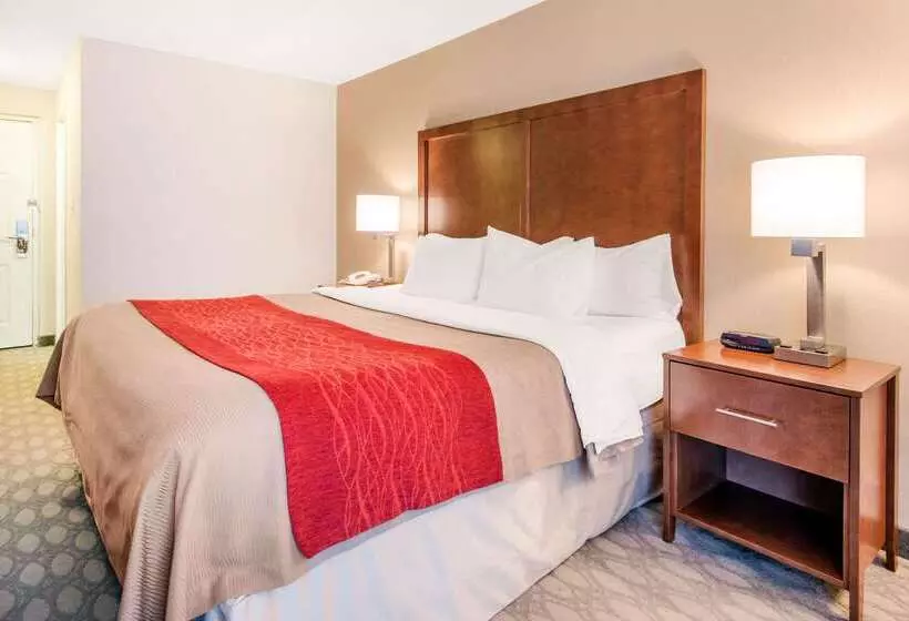 Fotos del hotel Comfort Inn Fallsview:  21