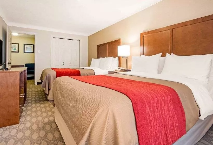 Fotos del hotel Comfort Inn Fallsview:  18