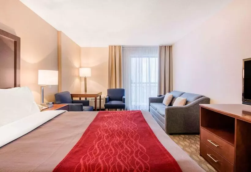 Fotos del hotel Comfort Inn Fallsview:  4