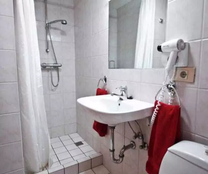 Fotos del hotel Orkin:  8