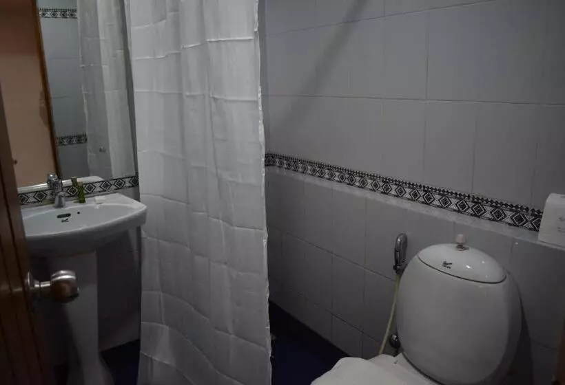 Fotos del hotel Abad Metro:  13