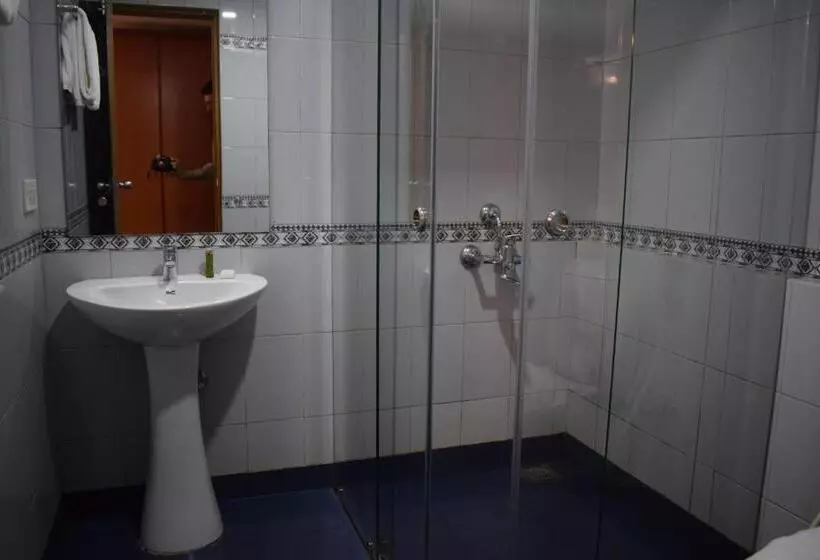 Fotos del hotel Abad Metro:  10