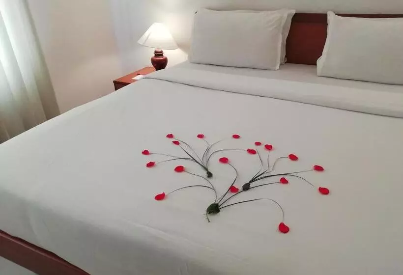 Fotos del hotel Abad Metro:  22