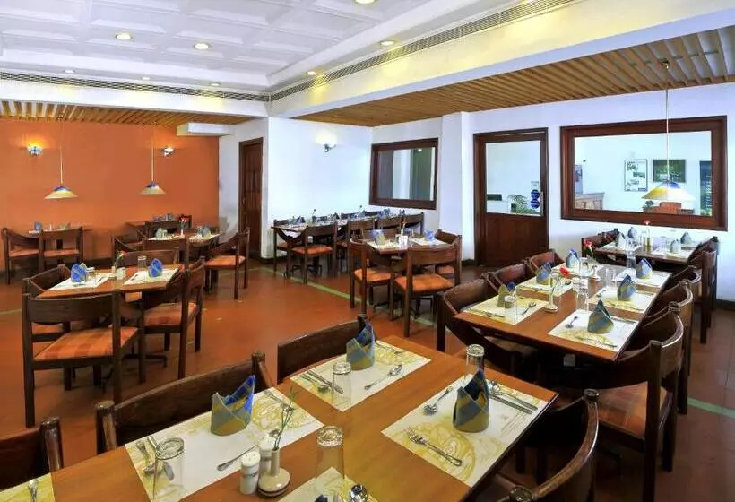 Fotos del hotel Abad Metro:  15