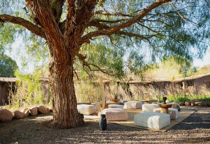 Fotos del hotel Altiplanico Atacama:  4