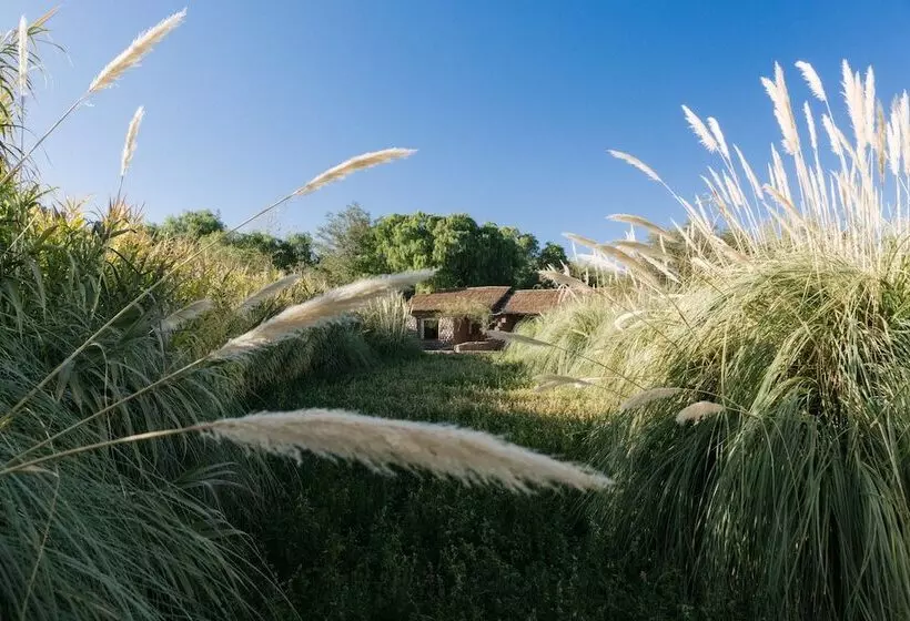 Fotos del hotel Altiplanico Atacama:  10