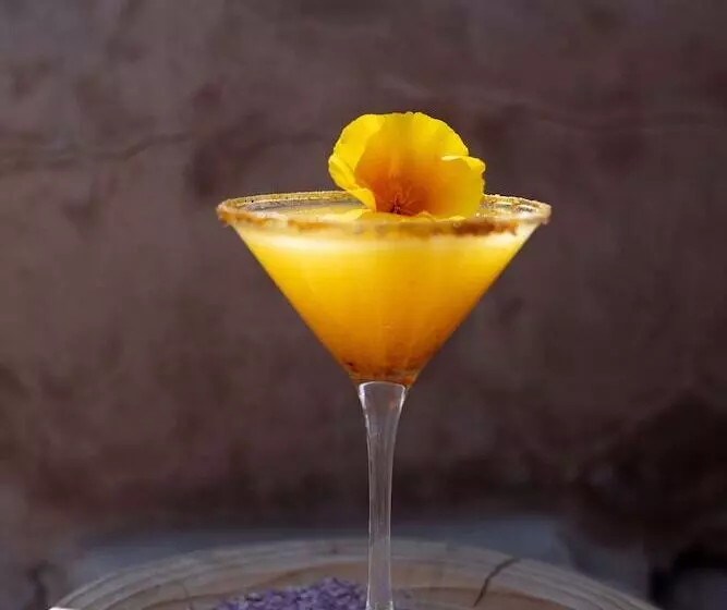 Fotos del hotel Altiplanico Atacama:  11