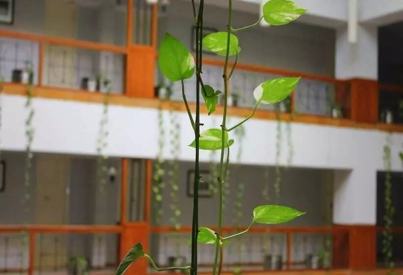 Fotos del hotel The Golden Palms:  8