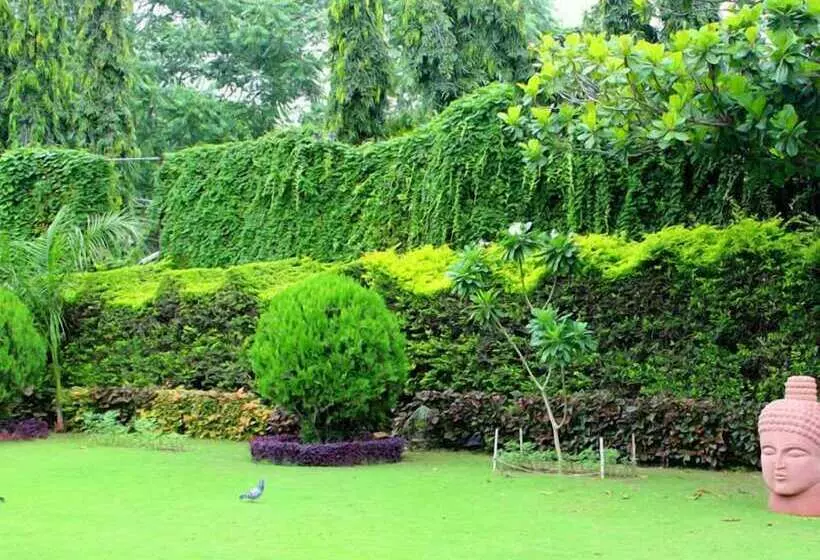 Fotos del hotel The Golden Palms:  13