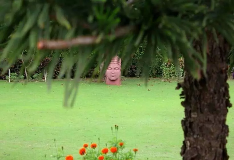 Fotos del hotel The Golden Palms:  23