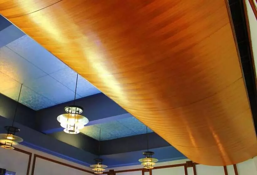 Fotos del hotel The Golden Palms:  25