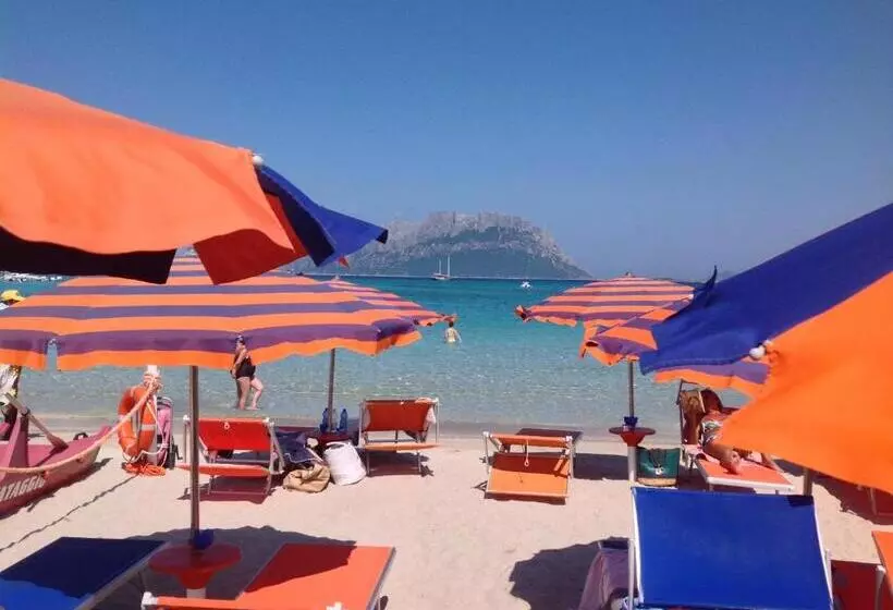 Fotos del hotel Daniel:  21