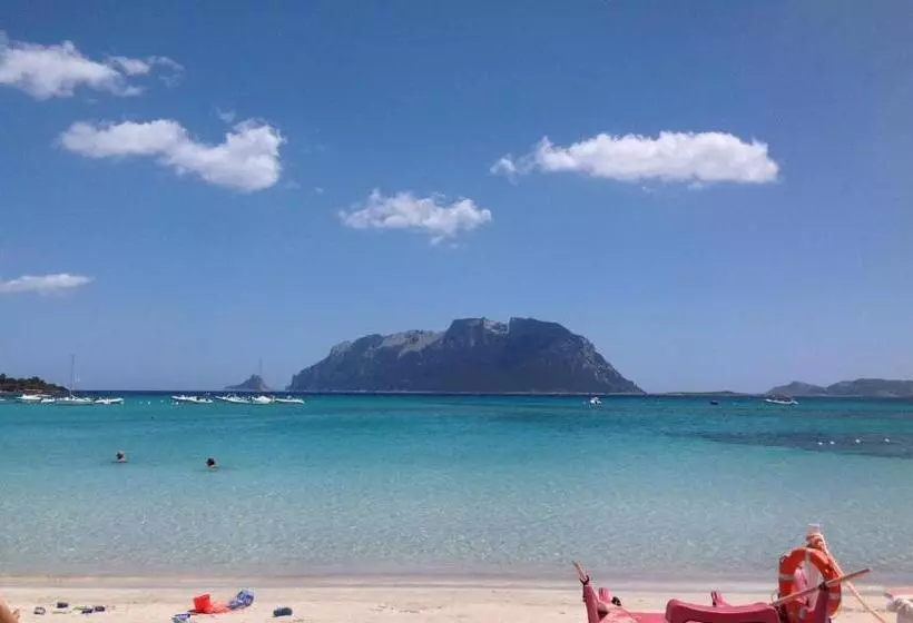 Fotos del hotel Daniel:  6