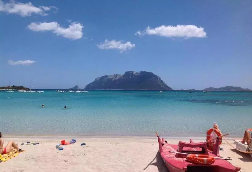 Fotos del hotel Daniel:  19