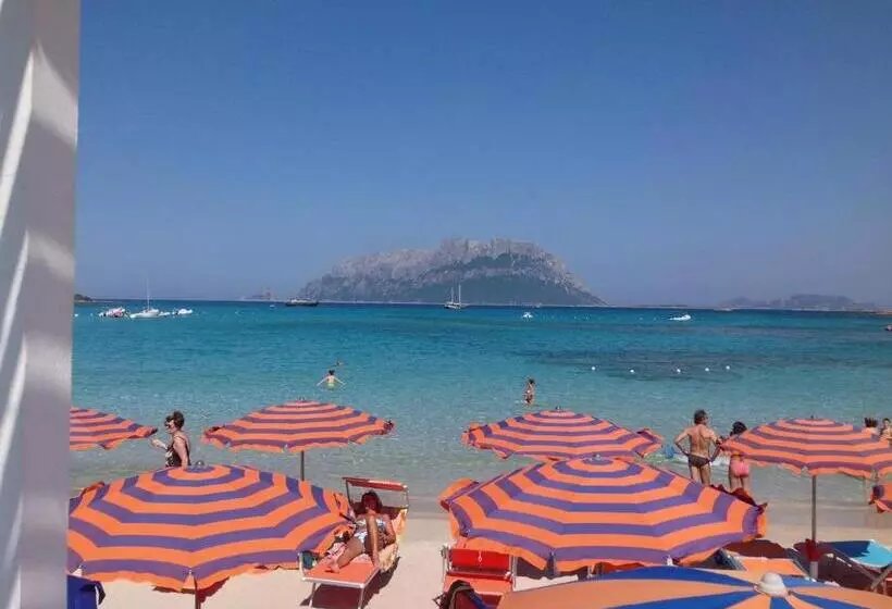 Fotos del hotel Daniel:  18