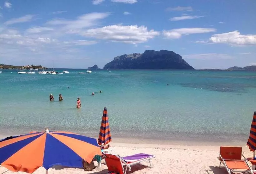 Fotos del hotel Daniel:  15