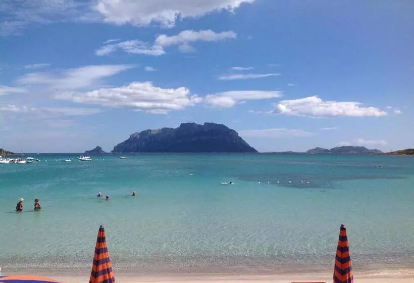 Fotos del hotel Daniel:  10