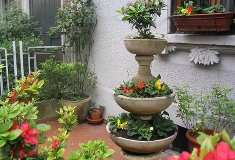 Fotos del hotel Mayorca:  10