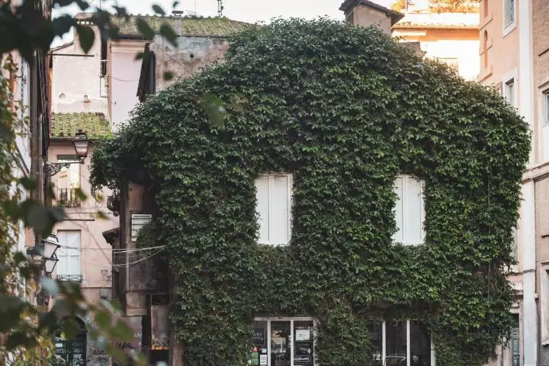 Fotos del hotel Mercure Roma Centro Termini:  13