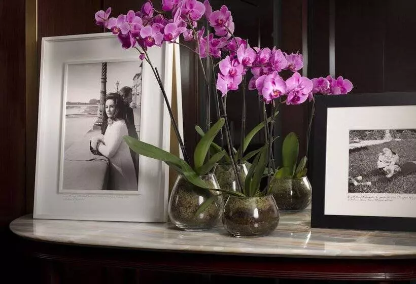 Fotos del hotel Portrait Firenze - Lungarno Collection:  10