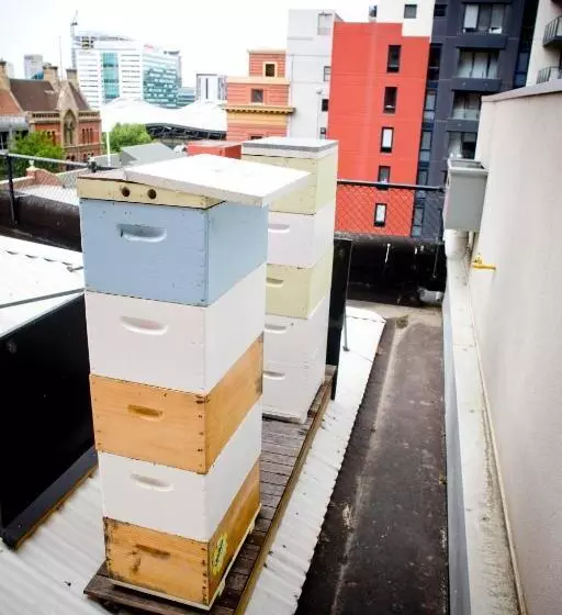 Fotos del hotel Alto Hotel On Bourke:  6