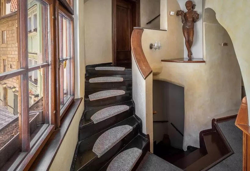 Fotos del hotel Aurus:  3