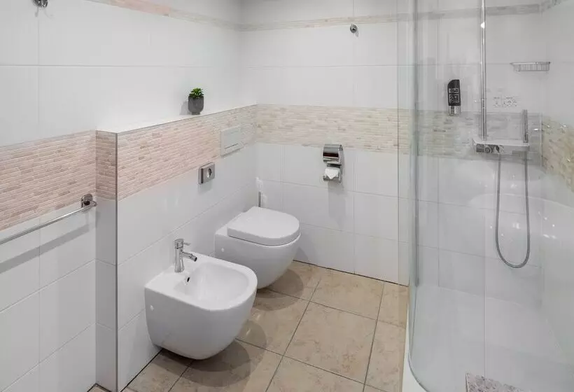 Fotos del hotel Aurus:  17