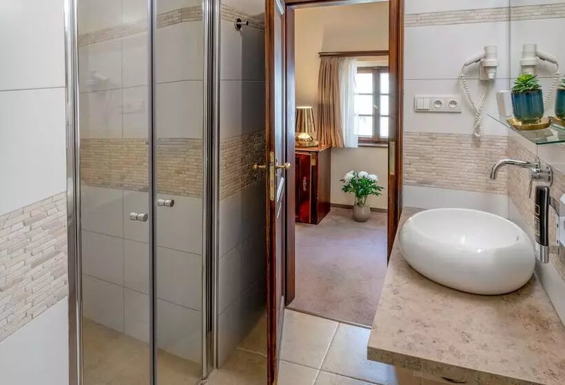 Fotos del hotel Aurus:  12