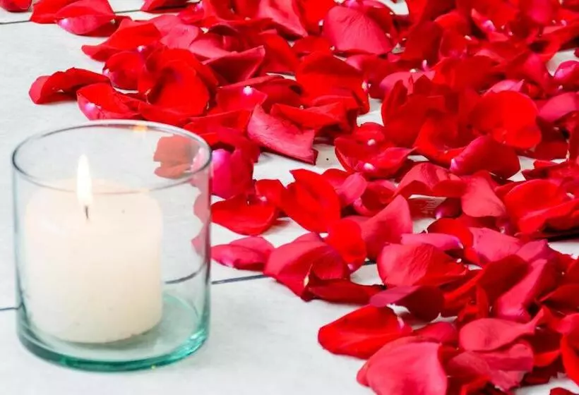 Fotos del hotel Florida Inn:  12