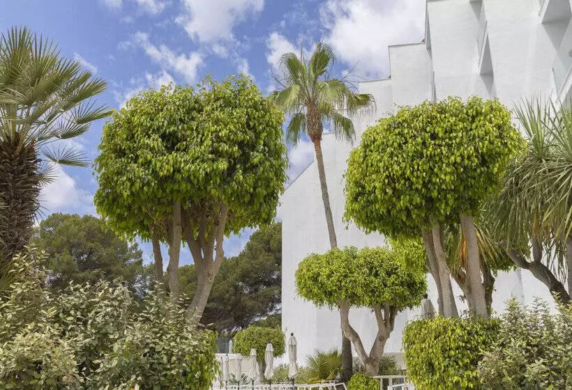 Fotos del hotel Whala!isabela:  43