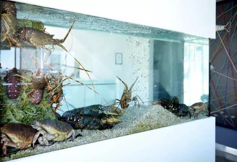 Fotos del hotel Mar Bravo:  6