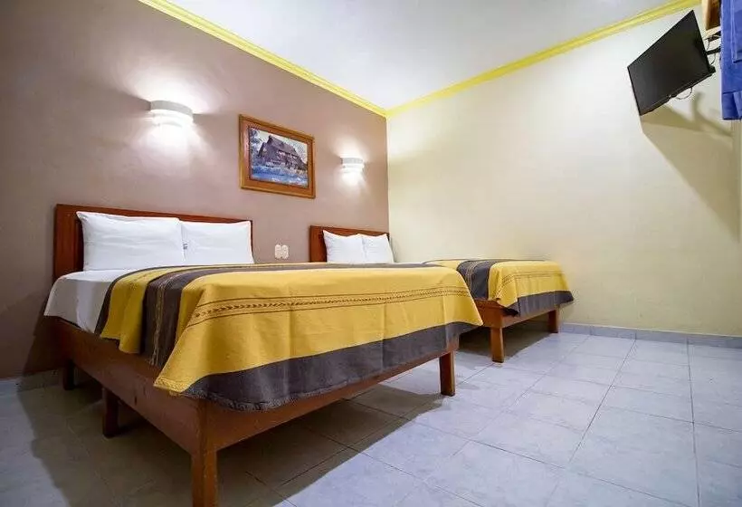 Fotos del hotel El Español Centro Historico:  20