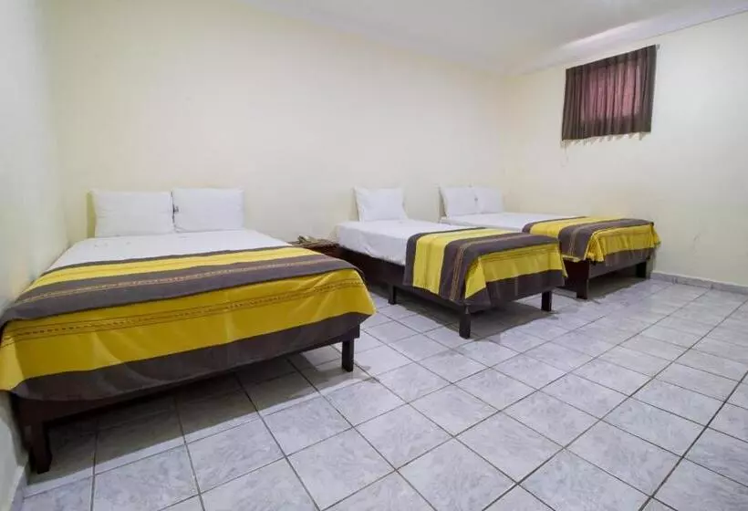 Fotos del hotel El Español Centro Historico:  5