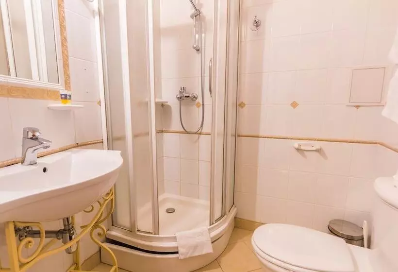 Fotos del hotel Garden Palace:  15